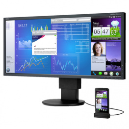 60003415, EA294WMI IPS monitor, NEC