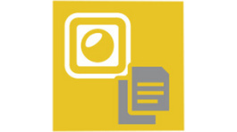 773010, Basic License for PNOZmulti Configuration, PILZ