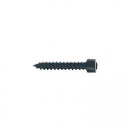 SCHR.SPEZIAL HOLZ5X30MM BTL. [24 шт], Screws (cylinder head) 5 x 30 mm PU=24 ST, Visaton