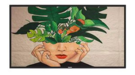 43BDL4550D/00, Display, ADS, 3840 x 2160, 1200:1, 42.5", Philips