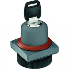 1.30.255.272/0000, Key lock switch 1 x 90deg form L 22 mm, RAFI