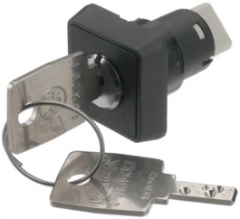 1.15.156.011/0000, Key switch 25 x 25 mm, RAFI