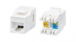RJJK-88-060-51, Unshielded Keystone Cat5e Coupler, Encitech Connectors