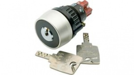 14-235.025K2, Keylock Switch Actuator, EAO