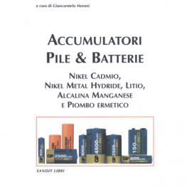 88-89150-13-0, Accumulatori, Pile & Batterie, Delfino