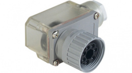 N6RFFS11, Cable Socket, Female, 7, Angled, PG11, Hirschmann