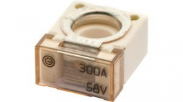 CF300, Auto Fuse 300 A&nbsp;&nbsp;58 V, iMaxx Companies