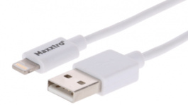 BB-3650-1, Lightning USB Cable 1 m white, Maxxtro