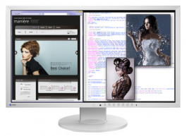 EV2336WFS3 grey, FlexScan EcoView TFT, Eizo