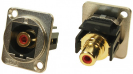 CP30230M, XLR Feedthrough RCA Connector 2 FT Cable red, Cliff