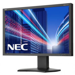 60003488, PA302W monitor, NEC