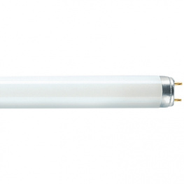 XT 36W/840, Флуоресцентная лампа 230 VAC 36 W G13, Osram