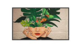 43BDL4510D/00, Display, ADS, 3840 x 2160, 1200:1, 500cd/m², 42.5", Philips