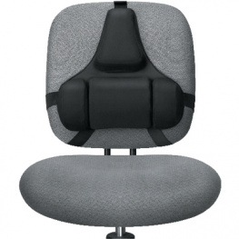 8037613, Professional Series Profi Back Support, Fellowes