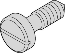 21100-565 [100 шт], Collar Screw PU=100 ST, Schroff
