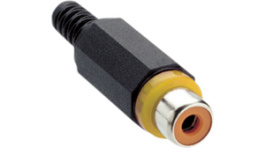 XKTO 1 gelb, RCA Socket black yellow, Lumberg Connect