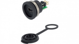 1310-1010-01, USB B mini; на панель, гайка сзади; с защитной крышкой; IP65, Encitech Connectors