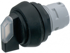 1.30.073.721/2000, Illuminated selector switch diam. 25 mm, RAFI