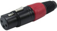 RND 205-00880 XLR Connector Black Socket 3 Poles