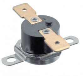 2455R-01000079 (BT-F-060/H), Thermostat, 60 ... 45°C, 1NO, Honeywell