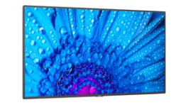 60005047, Display, IPS, 3840 x 2160, 8000:1, 43", NEC