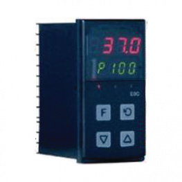 E8C0RR002, Temperature-/Process controller, CAL Controls