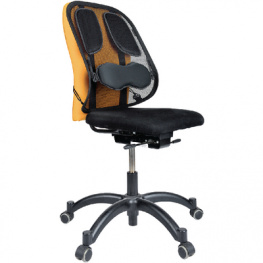 8029901, Professional Series Mesh Back Support, Fellowes