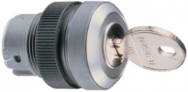 1.30.245.222/0000, Code-keys, RAFI