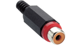 XKTO 1 rot, RCA Socket black red, Lumberg Connect