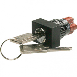 51-195.025D2F, Key switch 24 x 30 mm Latching function 1 NO+1 NC, EAO