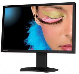 60003544, Spectraview 242, NEC