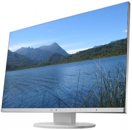 EV2455WFS3 grey, FlexScan High End IPS-TFT;16:10;24.1 '', Eizo