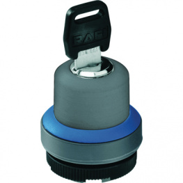 1.30.255.322/0000, Keylock Switch Actuator 1 x 90° form V, RAFI