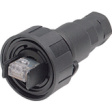 PX0834/B Вилка; RJ45; Buccaneer Ethernet; PIN:8; Контакты: фосфор-бронза