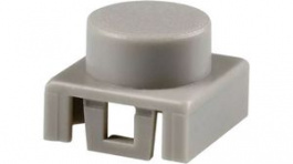 BTNK0220, Key Cap Light Grey, C & K
