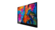 L156TCH-1G Portable Monitor, L156TCH-1G, 15.6 " (39.6 cm), 1920 x 1080, IPS, 16:9