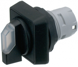 1.30.073.701/2000, Illuminated selector switch 25 x 25 mm, RAFI