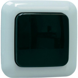 HE862, Exterior wall switchHomeEasy, ELRO