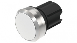 45-2234.31N0.000, Illuminated pushbutton, EAO