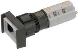 1.15.108.052/0000, Illuminated push button, 4 A&nbsp;&nbsp;AC / 0.2 A DC, 250 VAC / 220 V, RAFI