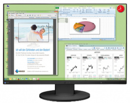 EV2455WFS3 black, FlexScan High End IPS-TFT;16:10;24.1 '', Eizo