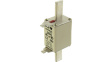 100NHG000B Fuse link 100 A NH000