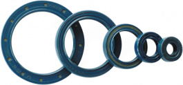 BA 010-019-07, Shaft seal 19 mm 7 mm, -