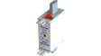 100NHG000B-400 Fuse link 100 A NH000