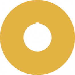 5.76.204.100/0400, Adhesive label without legend yellow, RAFI