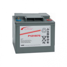 P12V600, Lead-Acid Battery, 12 V 24 Ah, Exide