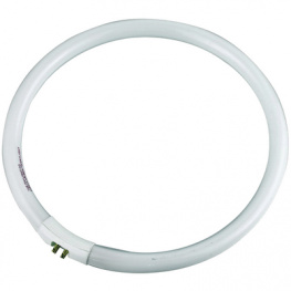 2U 22W TUBE, Fluorescent tube 22W, Bourya