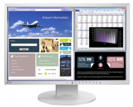 EV2216WFS3 grey, FlexScan EcoView TFT;16:10;22 '', Eizo