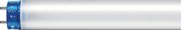 MASTER LEDTUBE PERF 1500MM cool white, LED tube G13, Philips