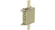 100NHG01B Fuse link 100 A NH01